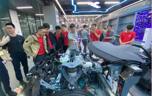 携手共进，智赢未来——2024巴斯夫汽车后市场授权经销商答谢晚宴暨汽车装饰用品销售新篇章